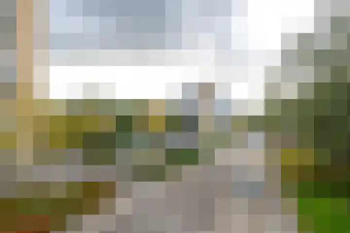Valkestein 1101 Ede thumbnail 65