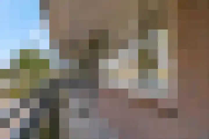Valkestein 125 Ede thumbnail 26