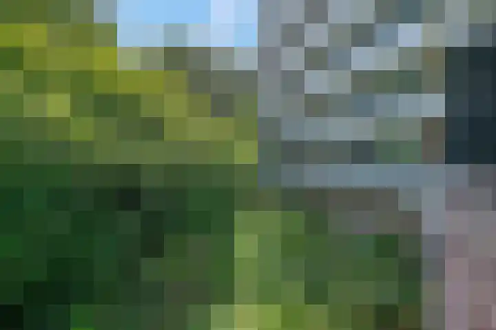 Valkestein 125 Ede thumbnail 33