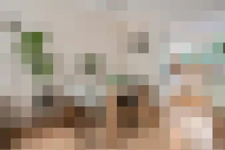 Valkestein 125 Ede thumbnail 6