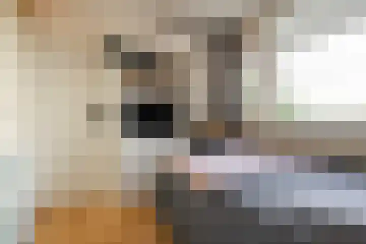 Valkestein 221 Ede thumbnail 17