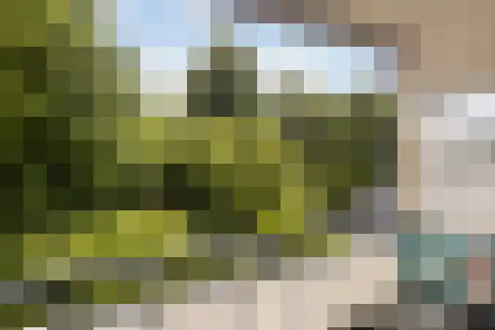 Valkestein 221 Ede thumbnail 25
