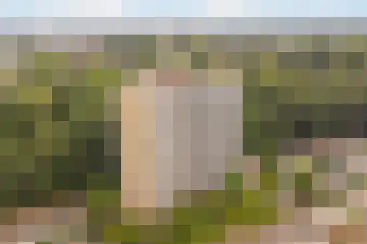 Valkestein 221 Ede thumbnail 27