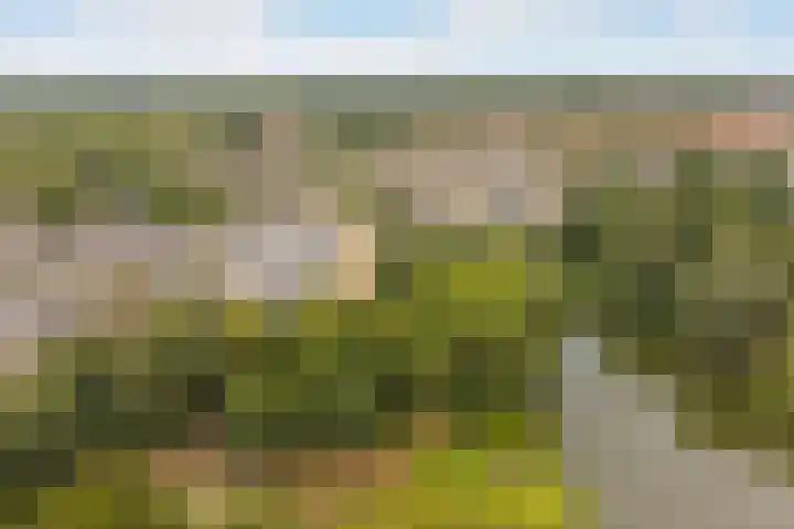 Valkestein 221 Ede thumbnail 28