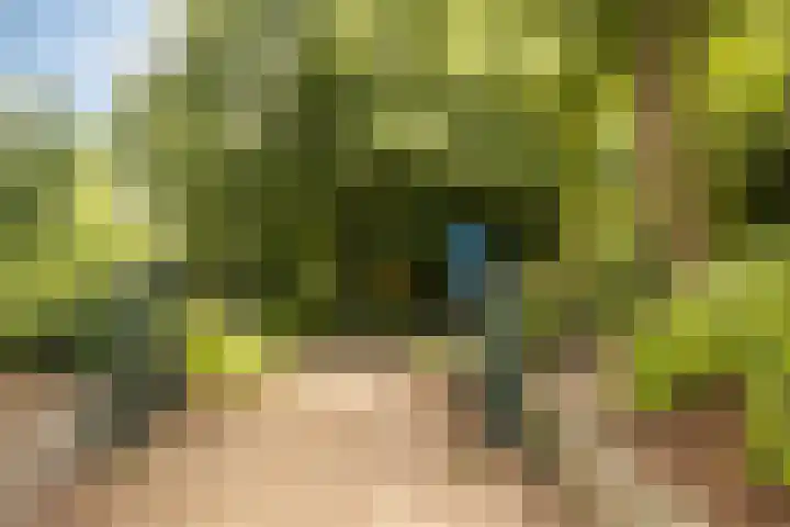 Valkestein 221 Ede thumbnail 29
