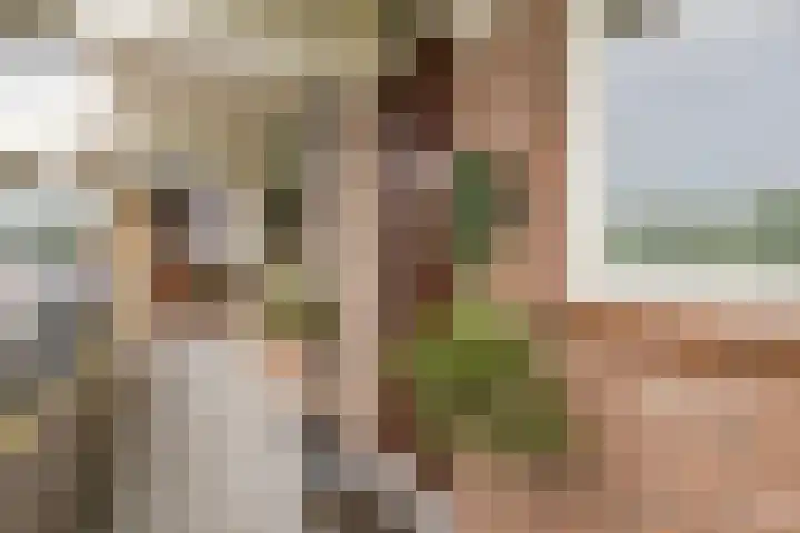 Valkestein 221 Ede thumbnail 4