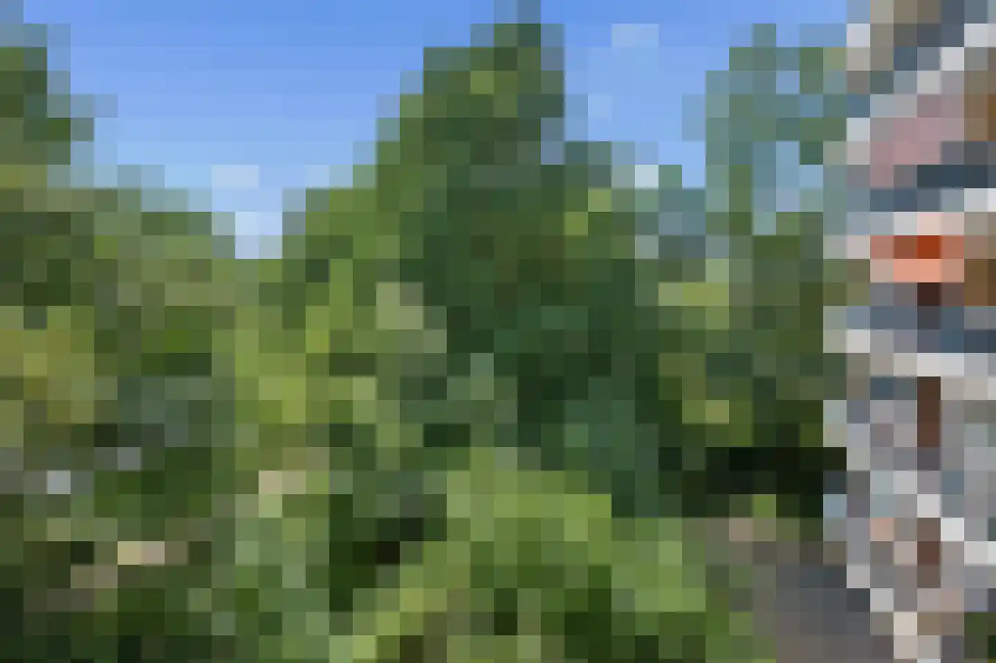 Valkestein 329 Ede thumbnail 22