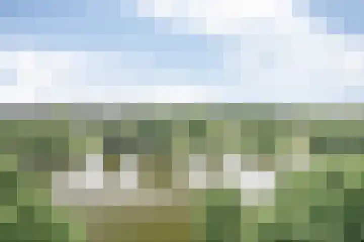 Valkestein 409 Ede thumbnail 29