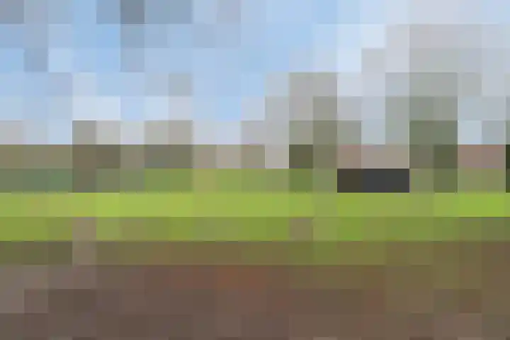 Valkestein 409 Ede thumbnail 30