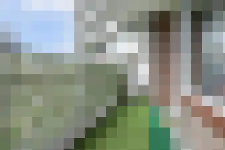 Valkestein 417 Ede thumbnail 4