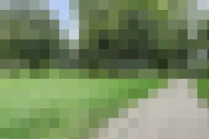 Valkestein 417 Ede thumbnail 40