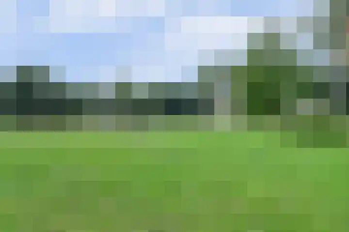 Valkestein 417 Ede thumbnail 41