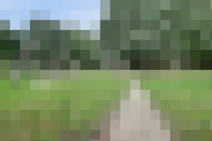 Valkestein 417 Ede thumbnail 42