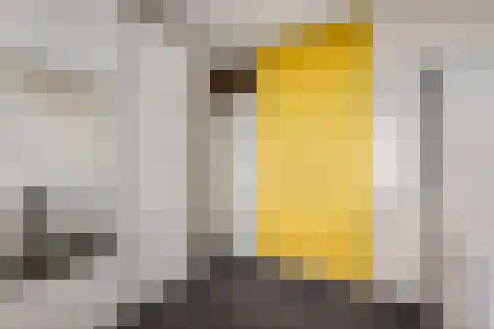 Valkestein 515 Ede thumbnail 15