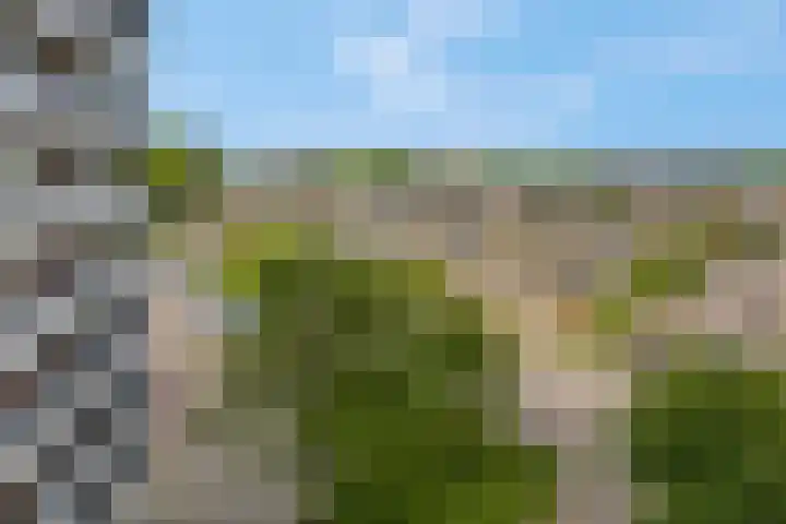 Valkestein 515 Ede thumbnail 28