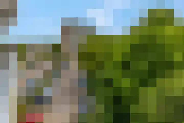 Valkestein 515 Ede thumbnail 31