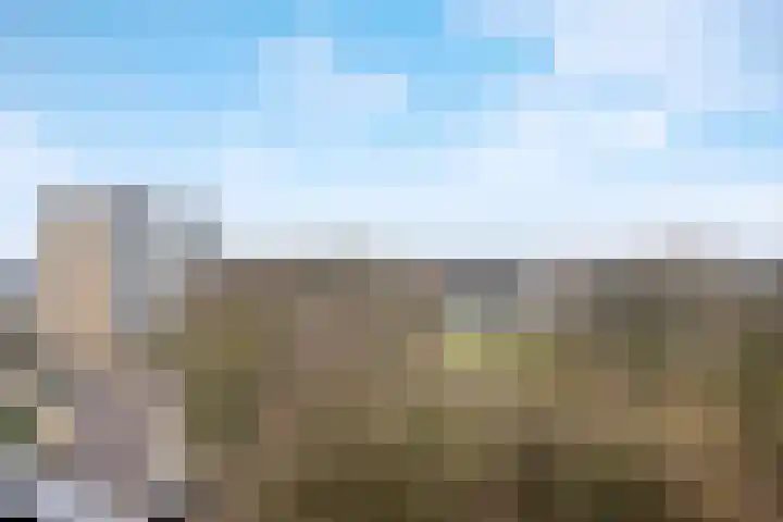 Valkestein 725 Ede thumbnail 16
