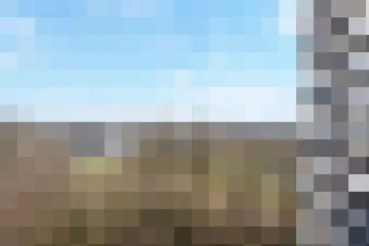 Valkestein 725 Ede thumbnail 18