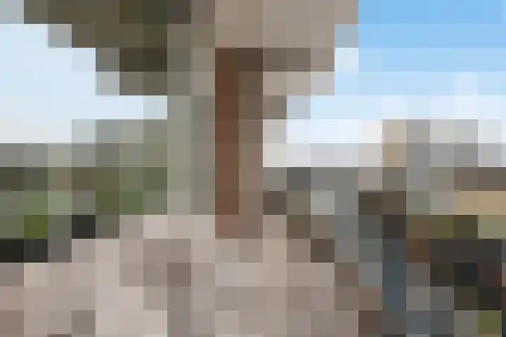 Valkestein 725 Ede thumbnail 4