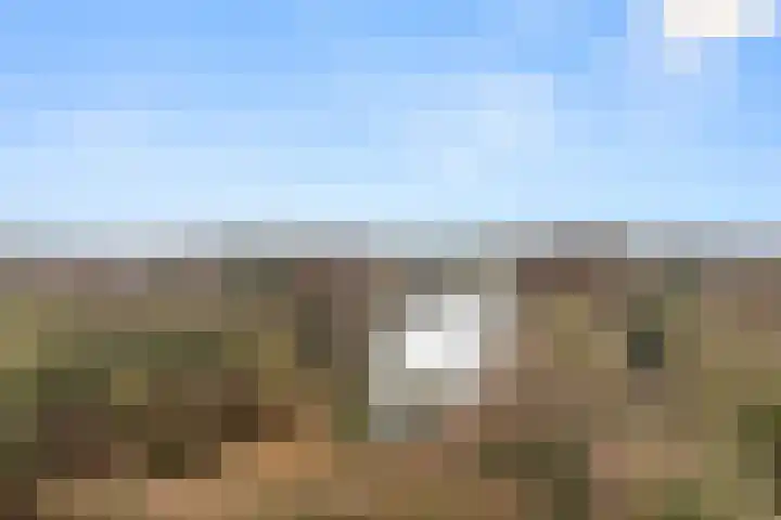 Valkestein 811 Ede thumbnail 21