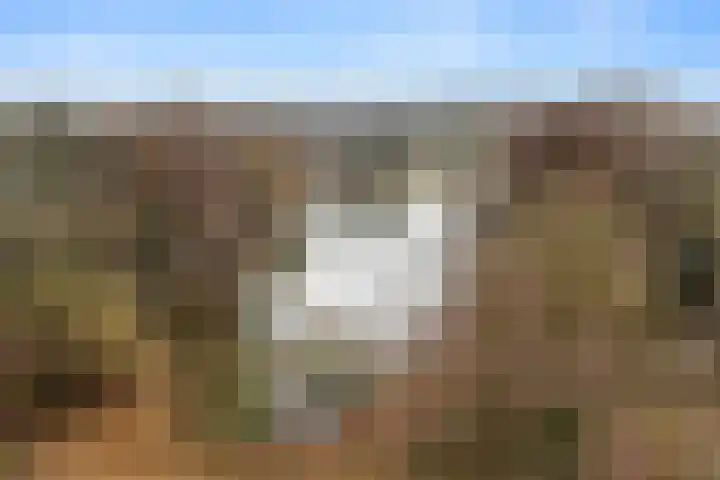Valkestein 811 Ede thumbnail 22