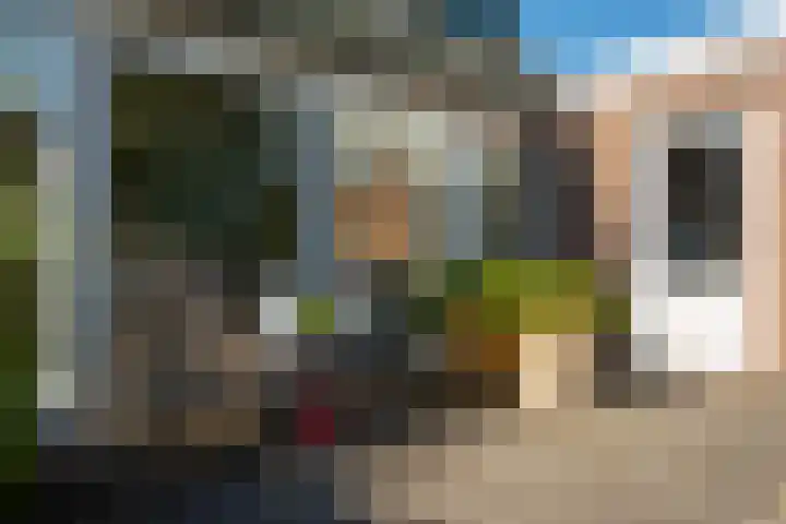 Valkestraat 16 Hoogerheide thumbnail 30