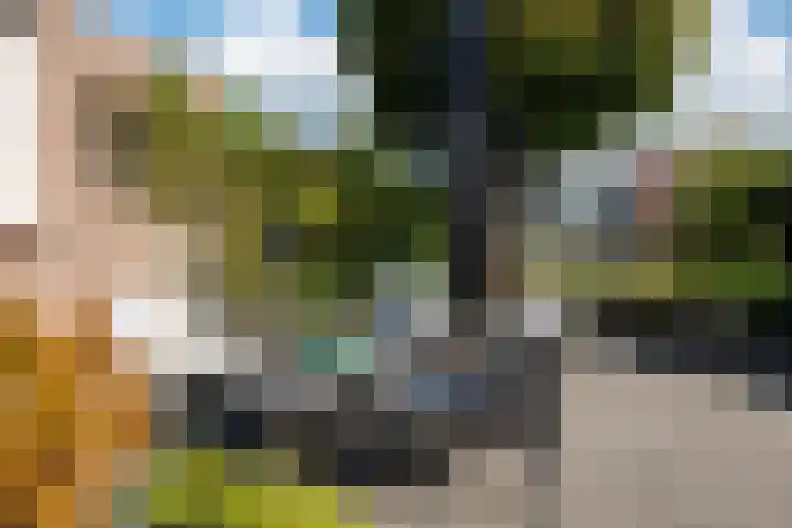 Valkestraat 16 Hoogerheide thumbnail 31
