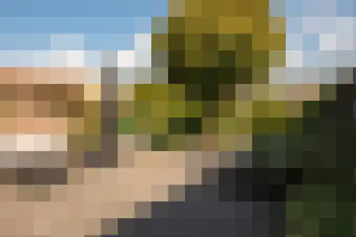 Valkestraat 16 Hoogerheide thumbnail 32