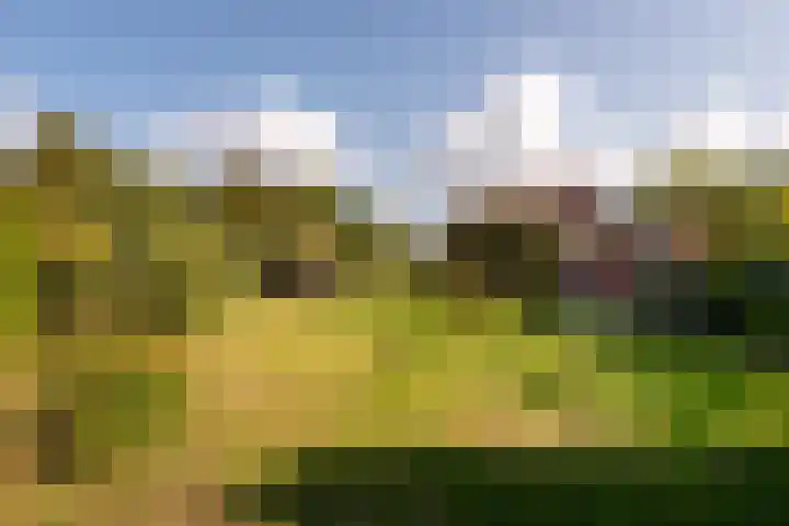 Valkestraat 16 Hoogerheide thumbnail 33