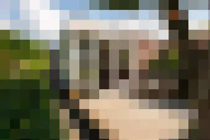 Valkestraat 16 Hoogerheide thumbnail 34