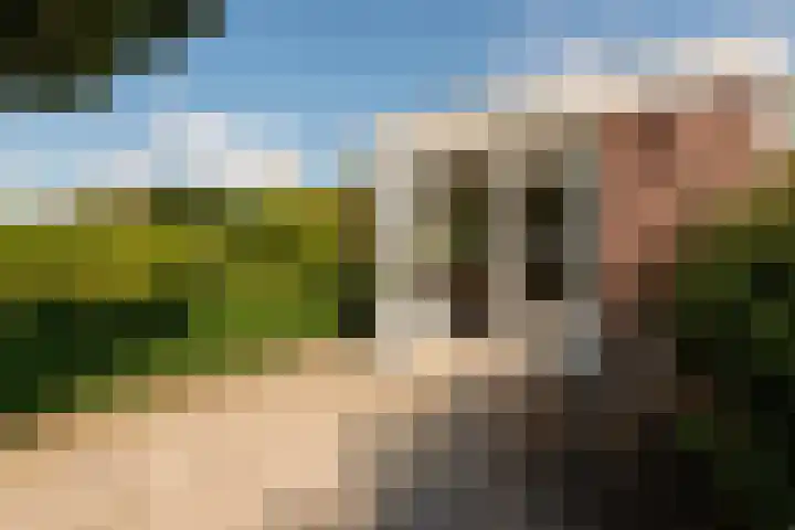 Valkestraat 16 Hoogerheide thumbnail 35