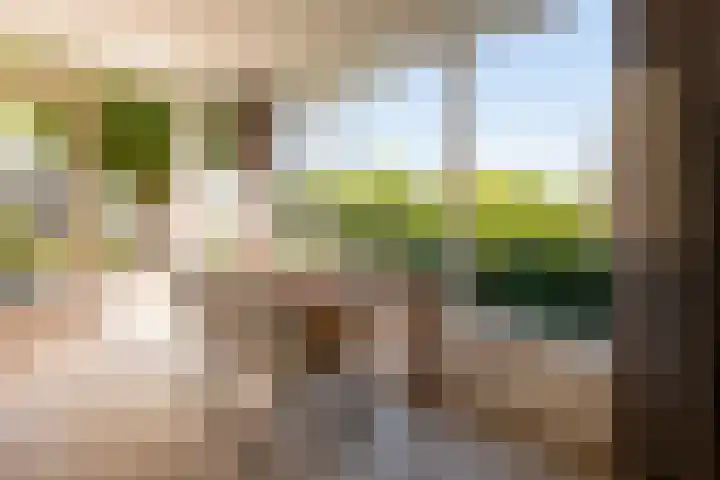 Valkestraat 16 Hoogerheide thumbnail 36
