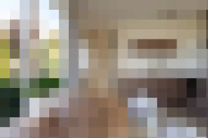 Valkestraat 16 Hoogerheide thumbnail 39