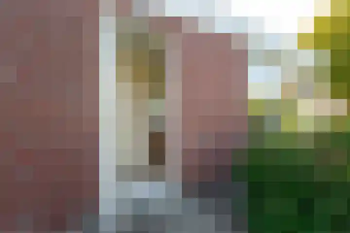 Valkestraat 16 Hoogerheide thumbnail 45