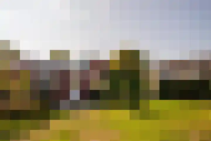 Valkestraat 16 Hoogerheide thumbnail 46