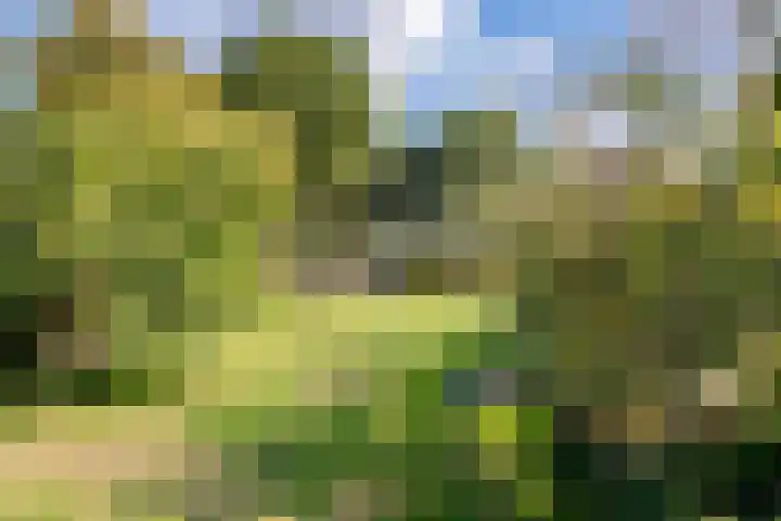 Valkestraat 16 Hoogerheide thumbnail 48