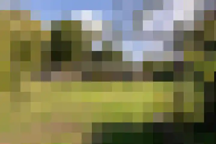 Valkestraat 16 Hoogerheide thumbnail 49