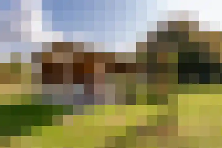Valkestraat 16 Hoogerheide thumbnail 51