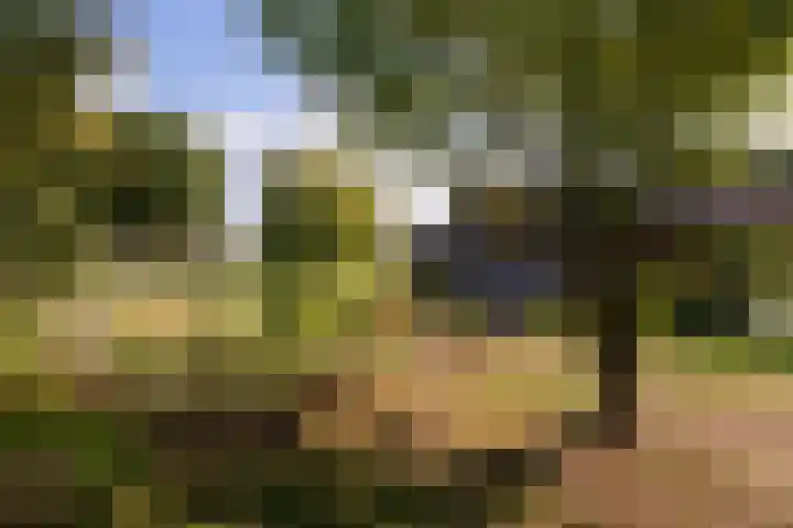 Valkestraat 16 Hoogerheide thumbnail 53