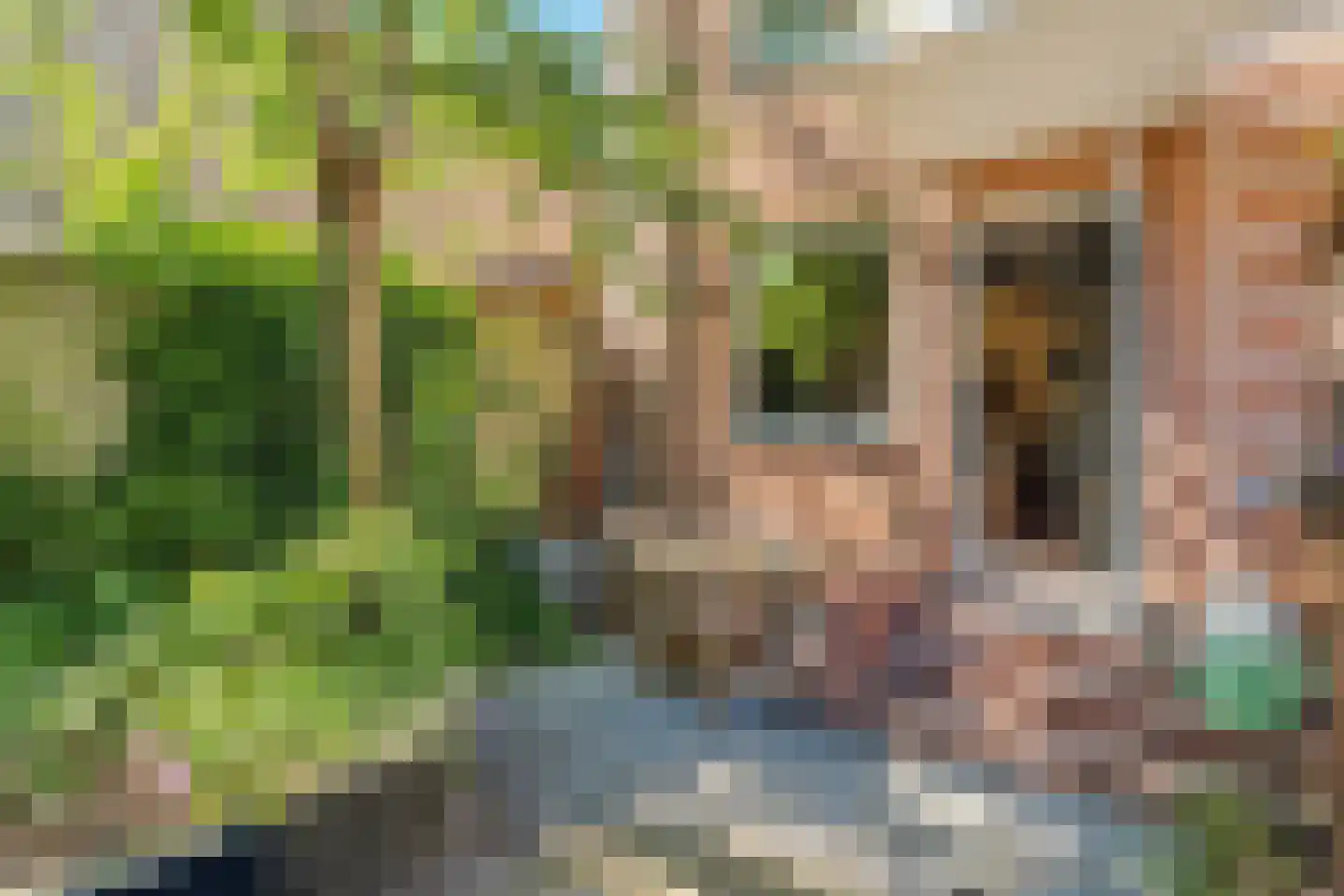 Valkestraat 18 A Amersfoort thumbnail 19