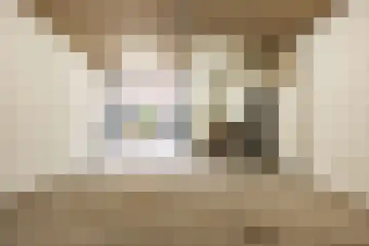 Valkestraat 7 Haarlem thumbnail 33