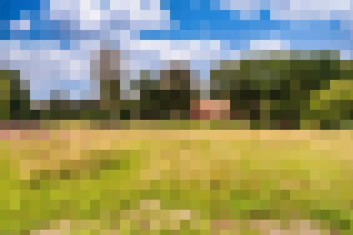 Valkeveenselaan 40 Huizen thumbnail 4