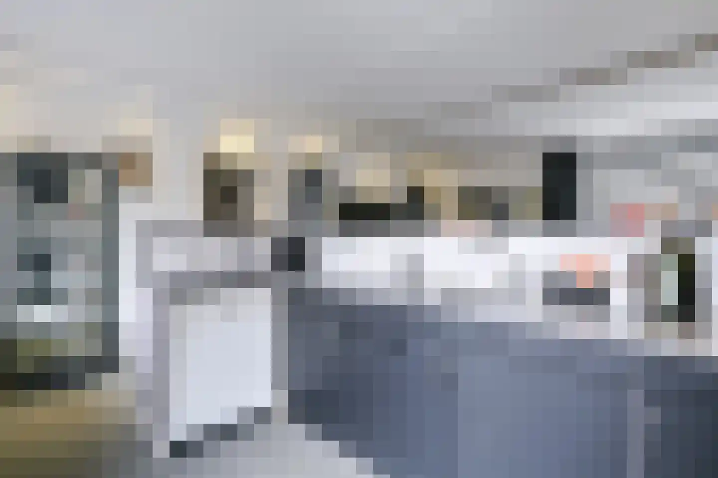 Valkhoek 46 Spijkenisse thumbnail 11