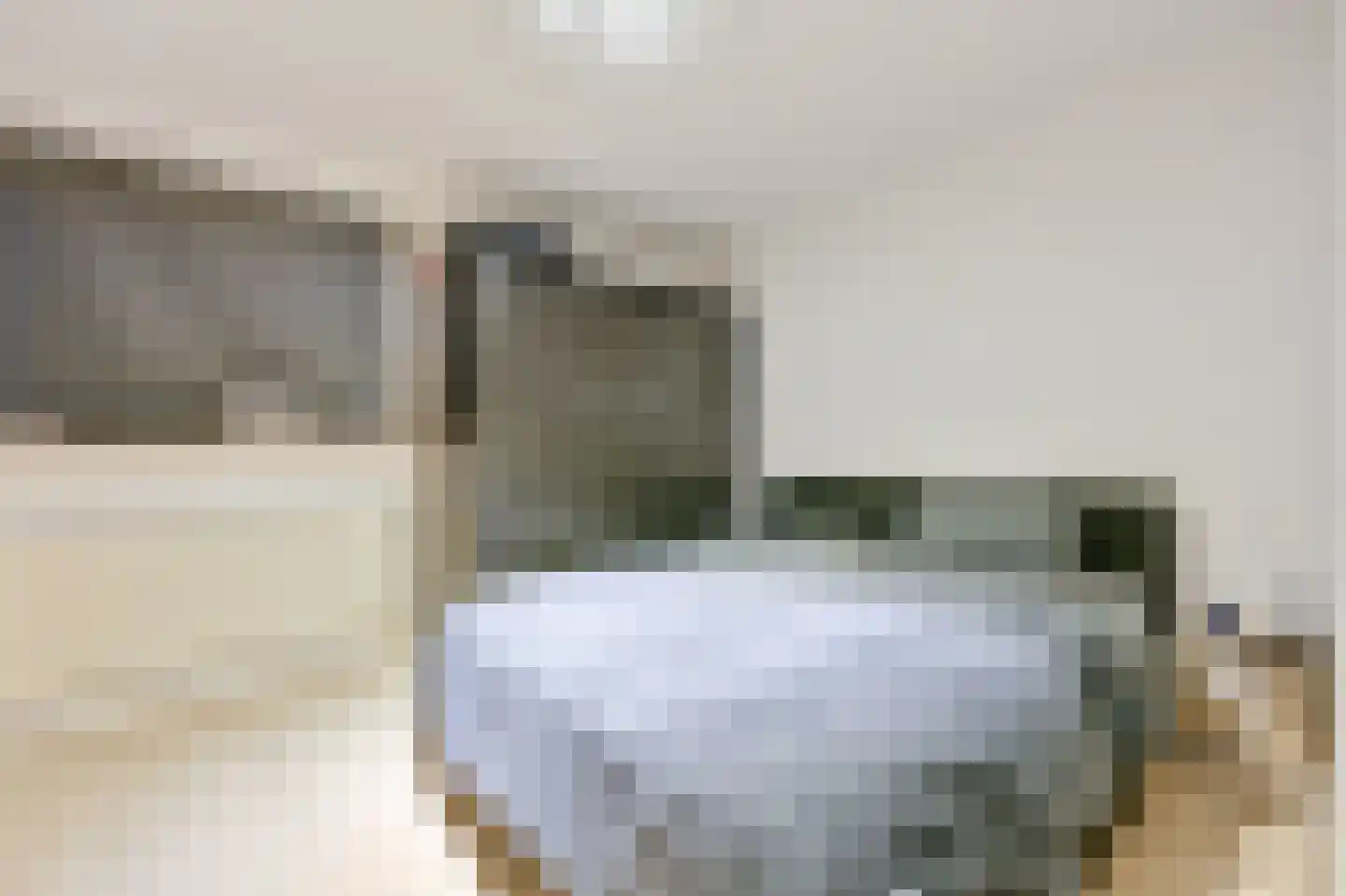 Valkhoek 46 Spijkenisse thumbnail 12