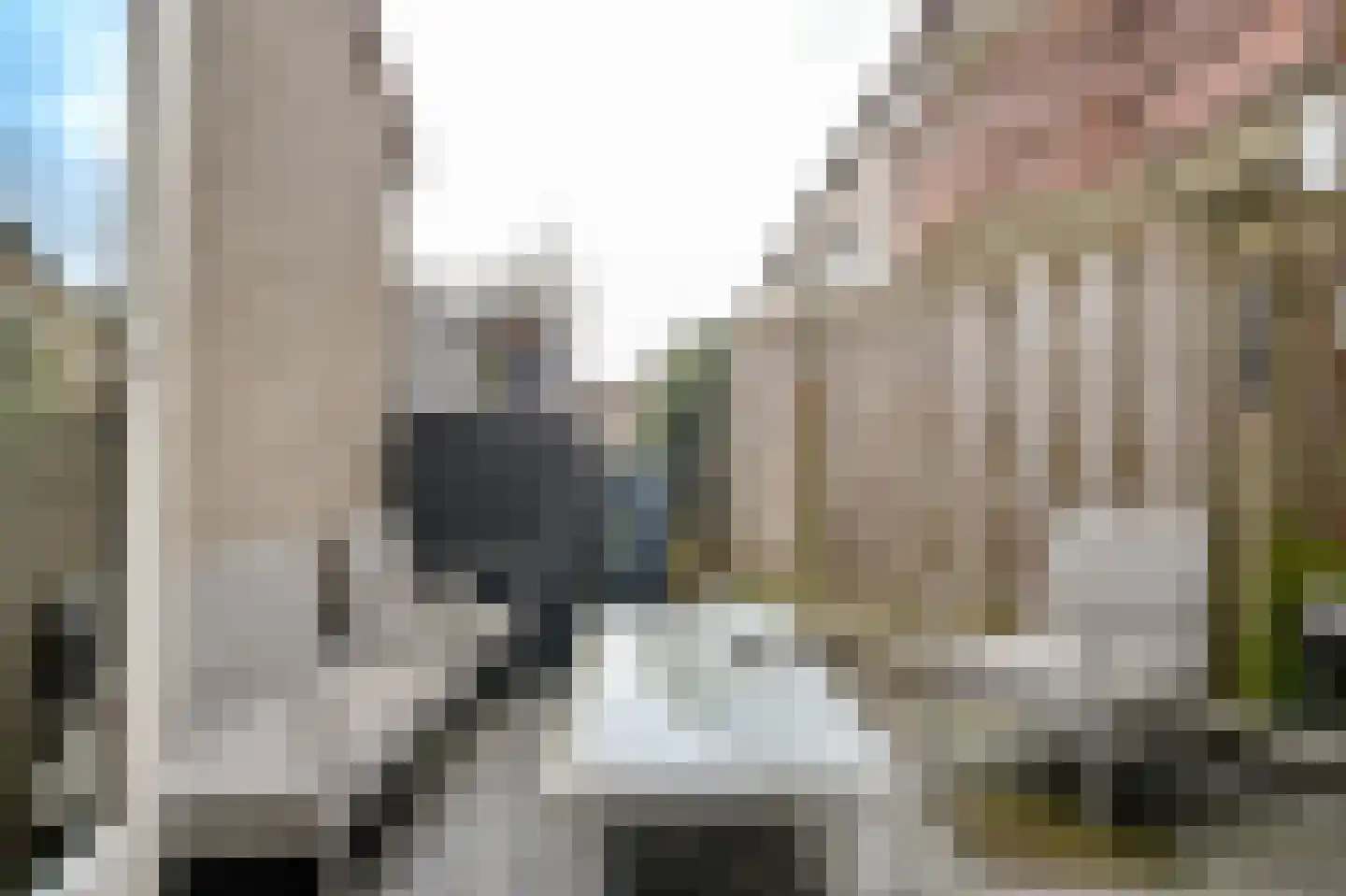 Valkhoek 46 Spijkenisse thumbnail 15