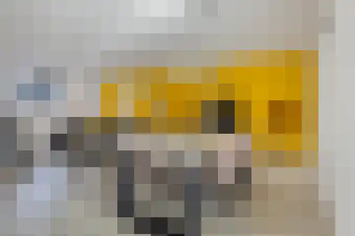 Valkhof 10 Ter Apel thumbnail 11
