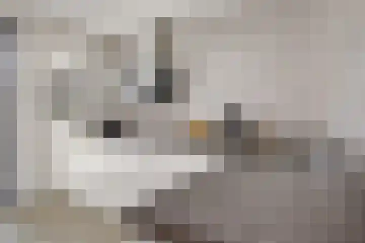 Valkhof 10 Ter Apel thumbnail 13