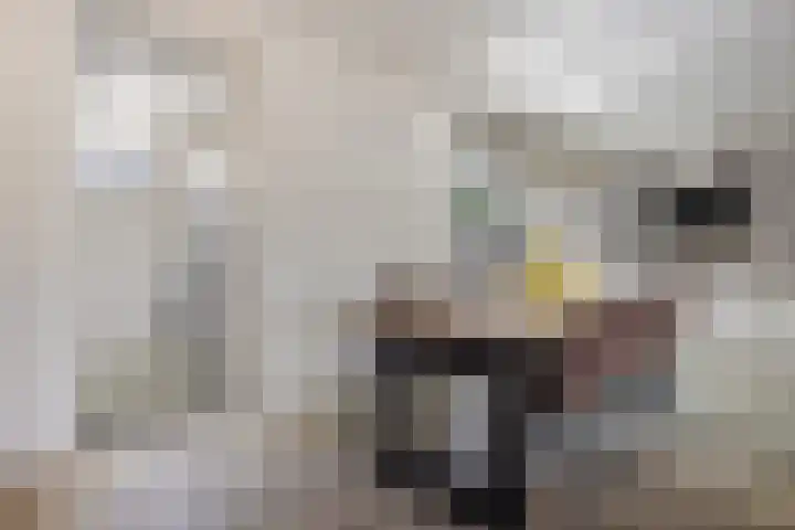Valkhof 10 Ter Apel thumbnail 14