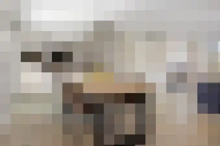 Valkhof 10 Ter Apel thumbnail 15
