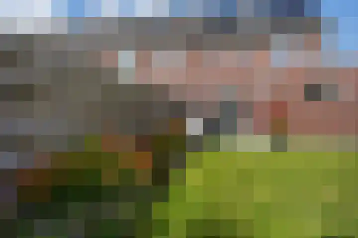Valkhof 10 Ter Apel thumbnail 44